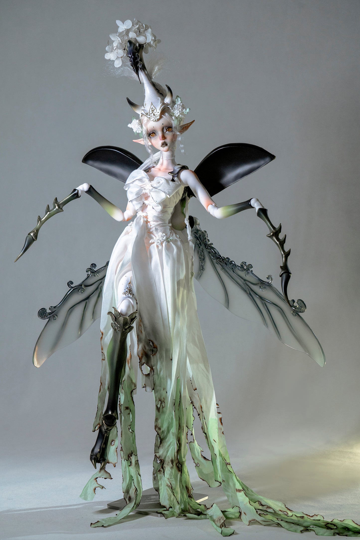 Unicorn Beetle