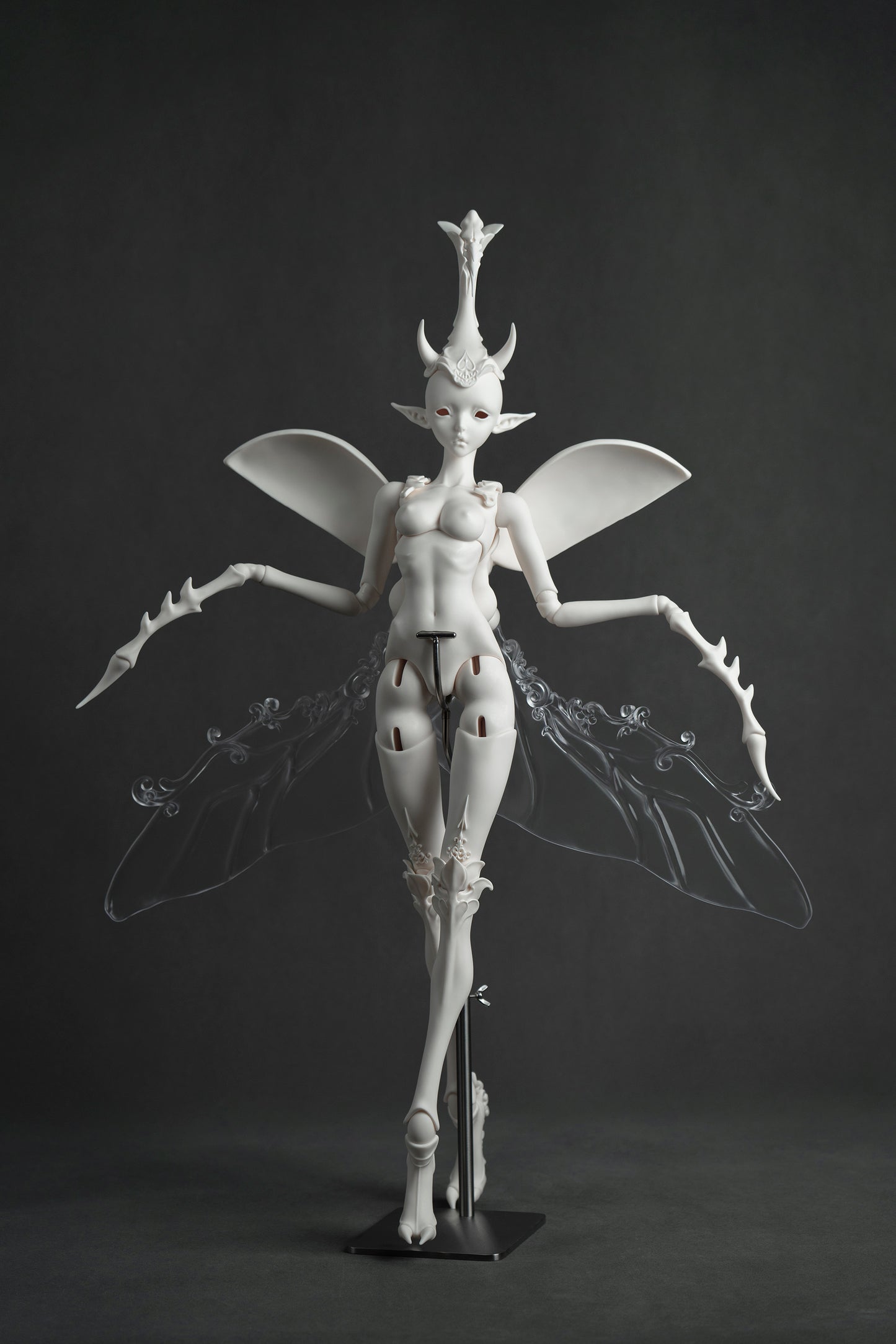 Unicorn Beetle
