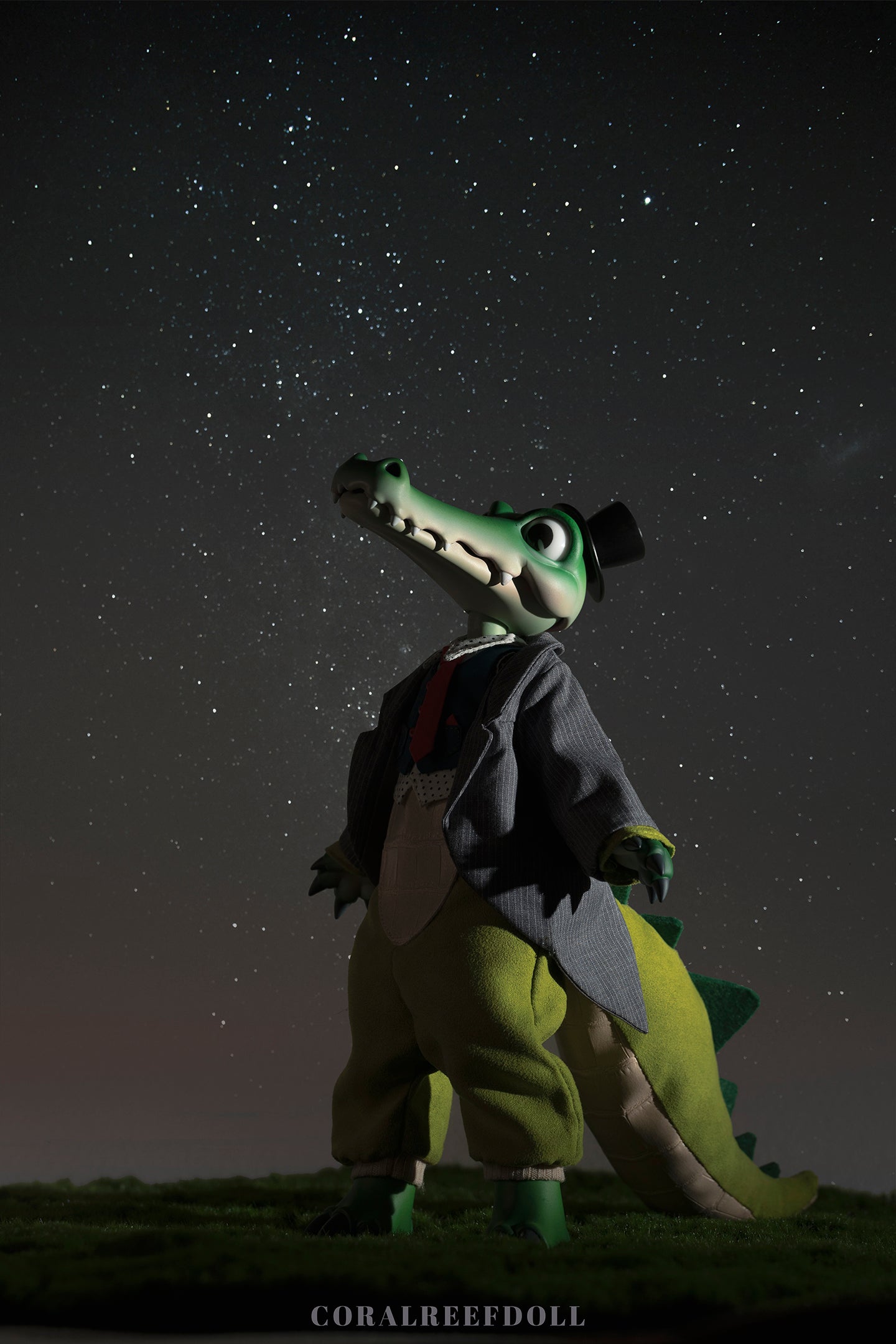Crocodile Bobby