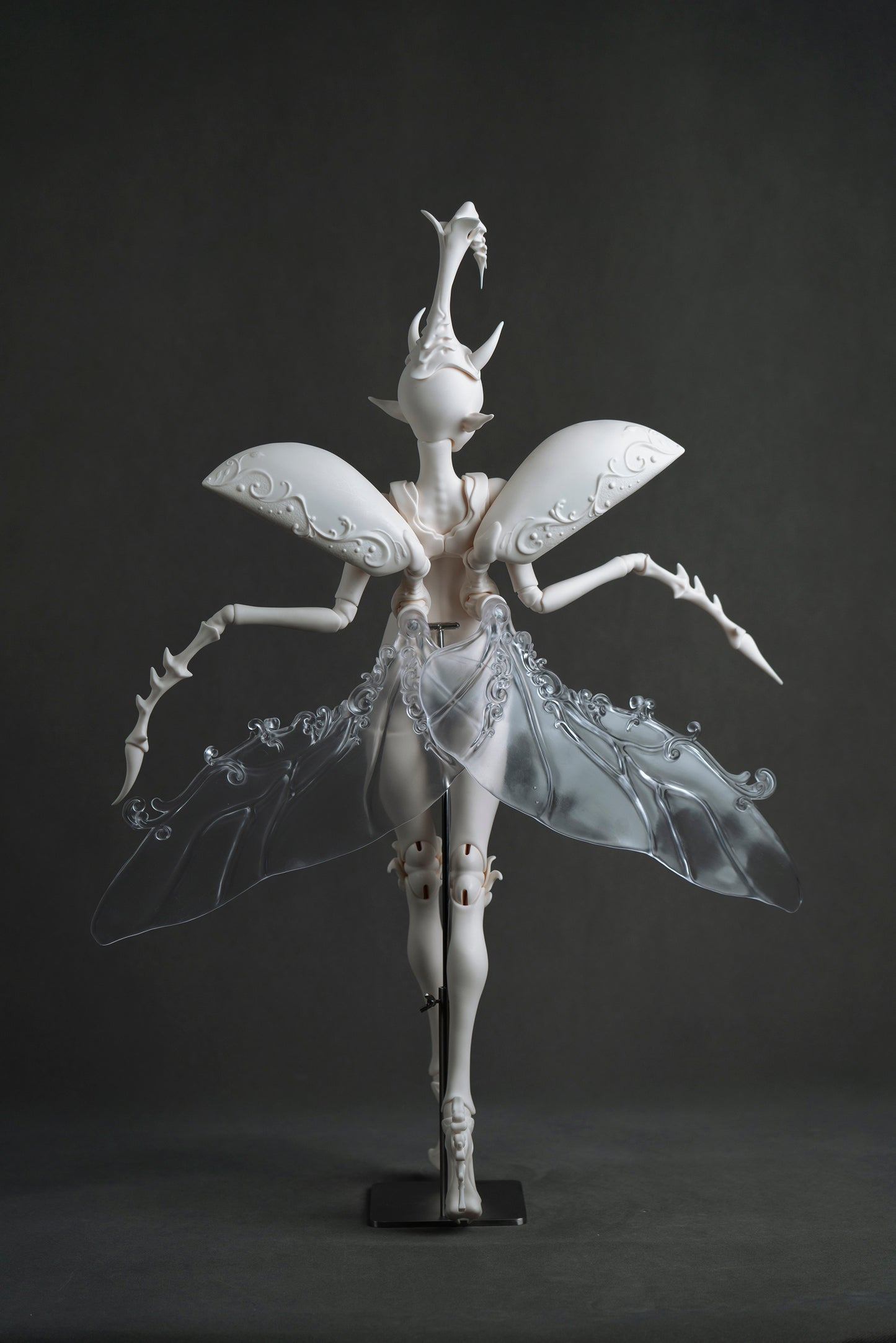 Unicorn Beetle