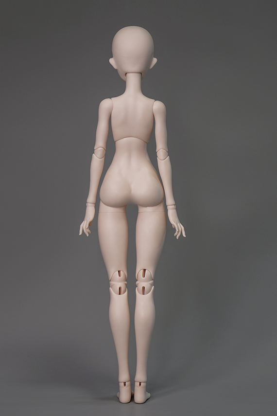 WHALE ISLAND 1/4 WHALE BODY