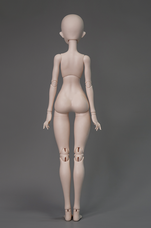 WHALE ISLAND 1/4 WHALE BODY