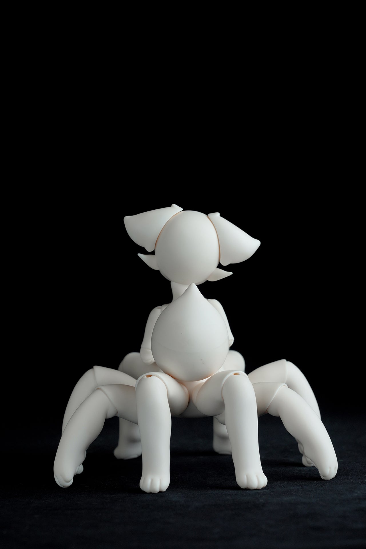 Spider-Cat