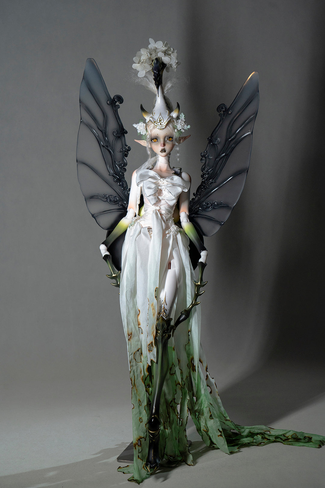 Unicorn Beetle