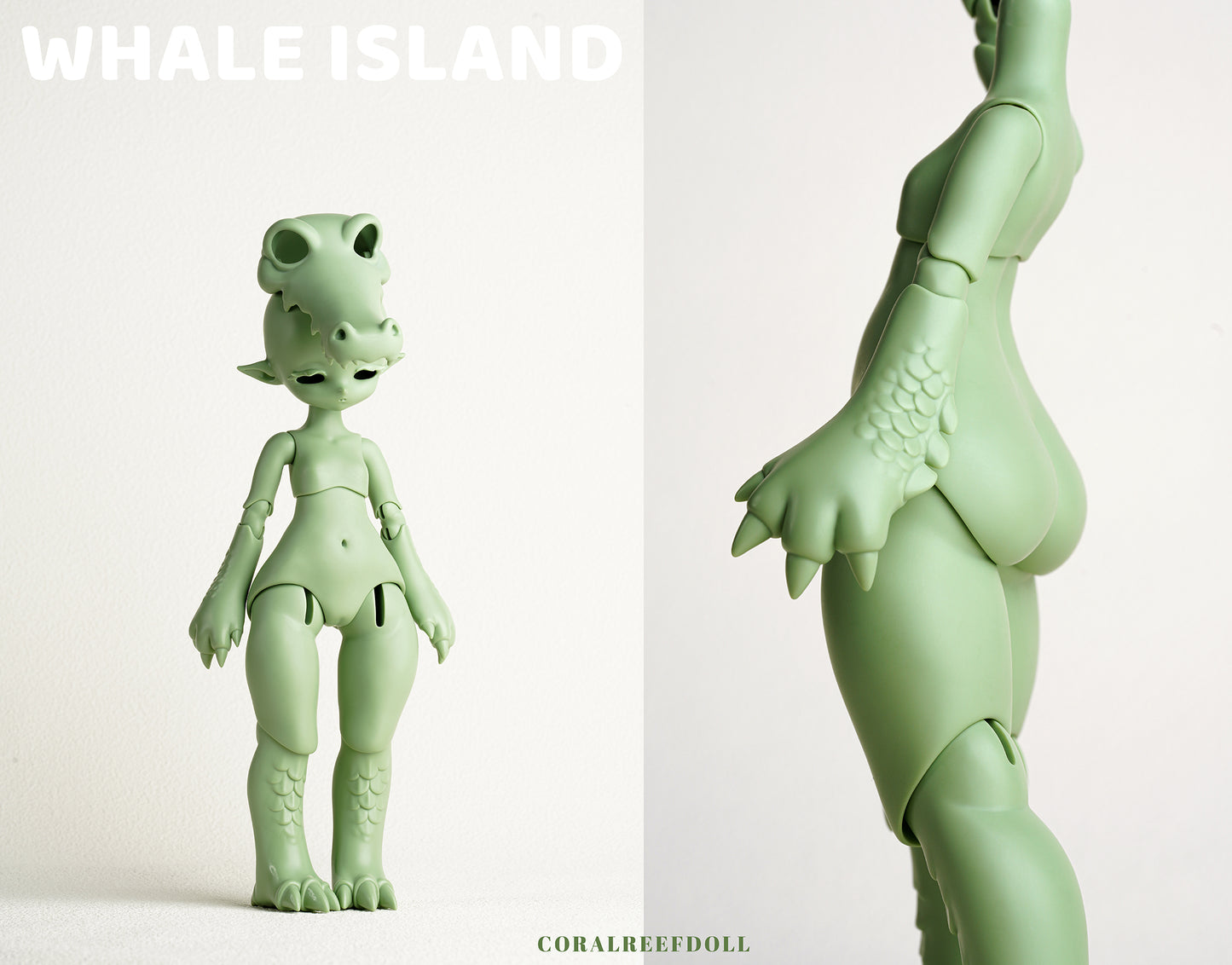 Crocodile Bobby
