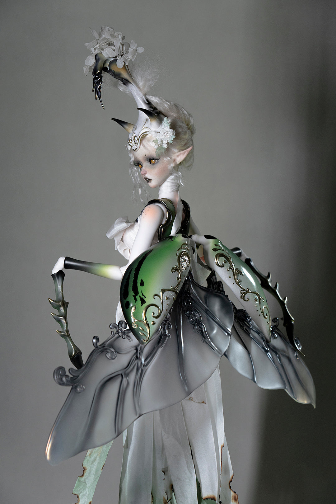 Unicorn Beetle