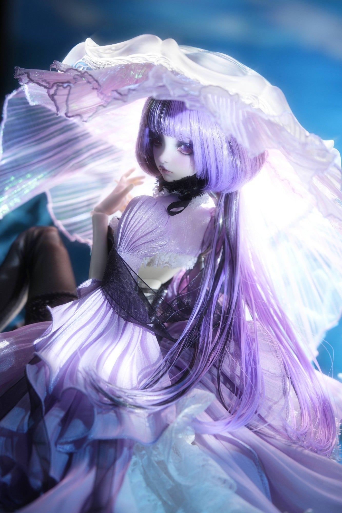 Jellyfish Daya