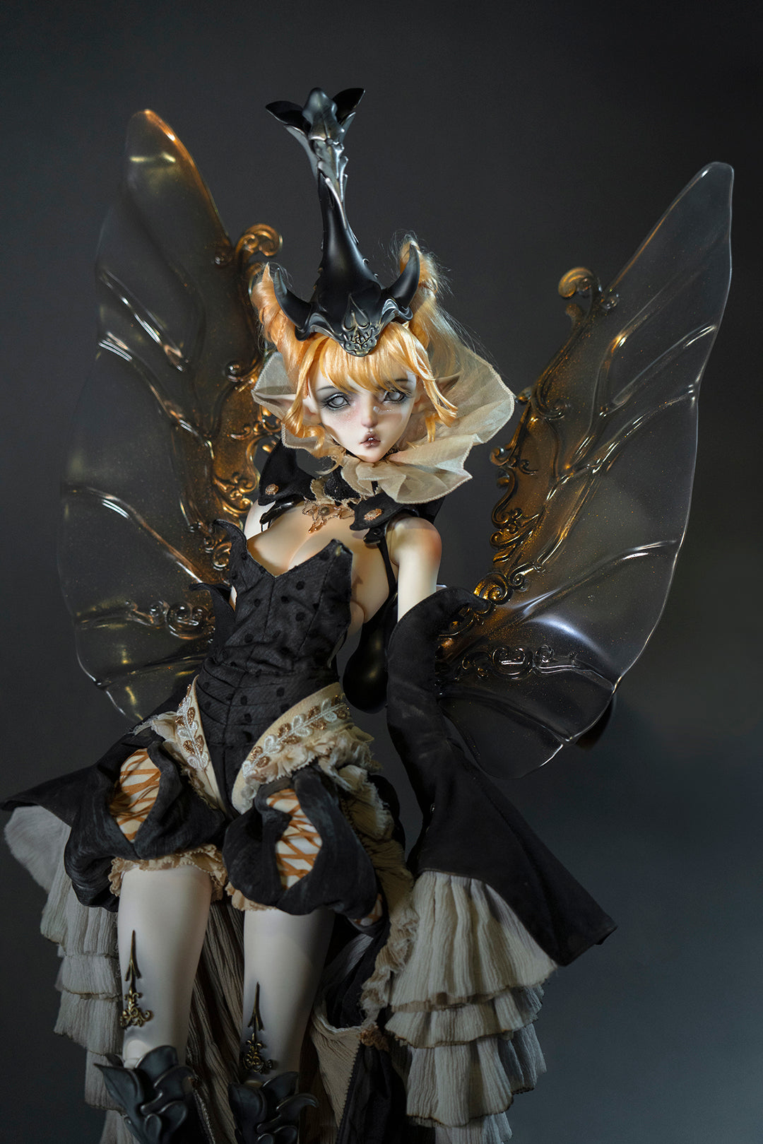 Unicorn Beetle