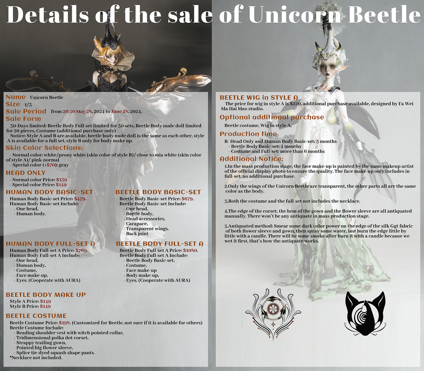 Unicorn Beetle