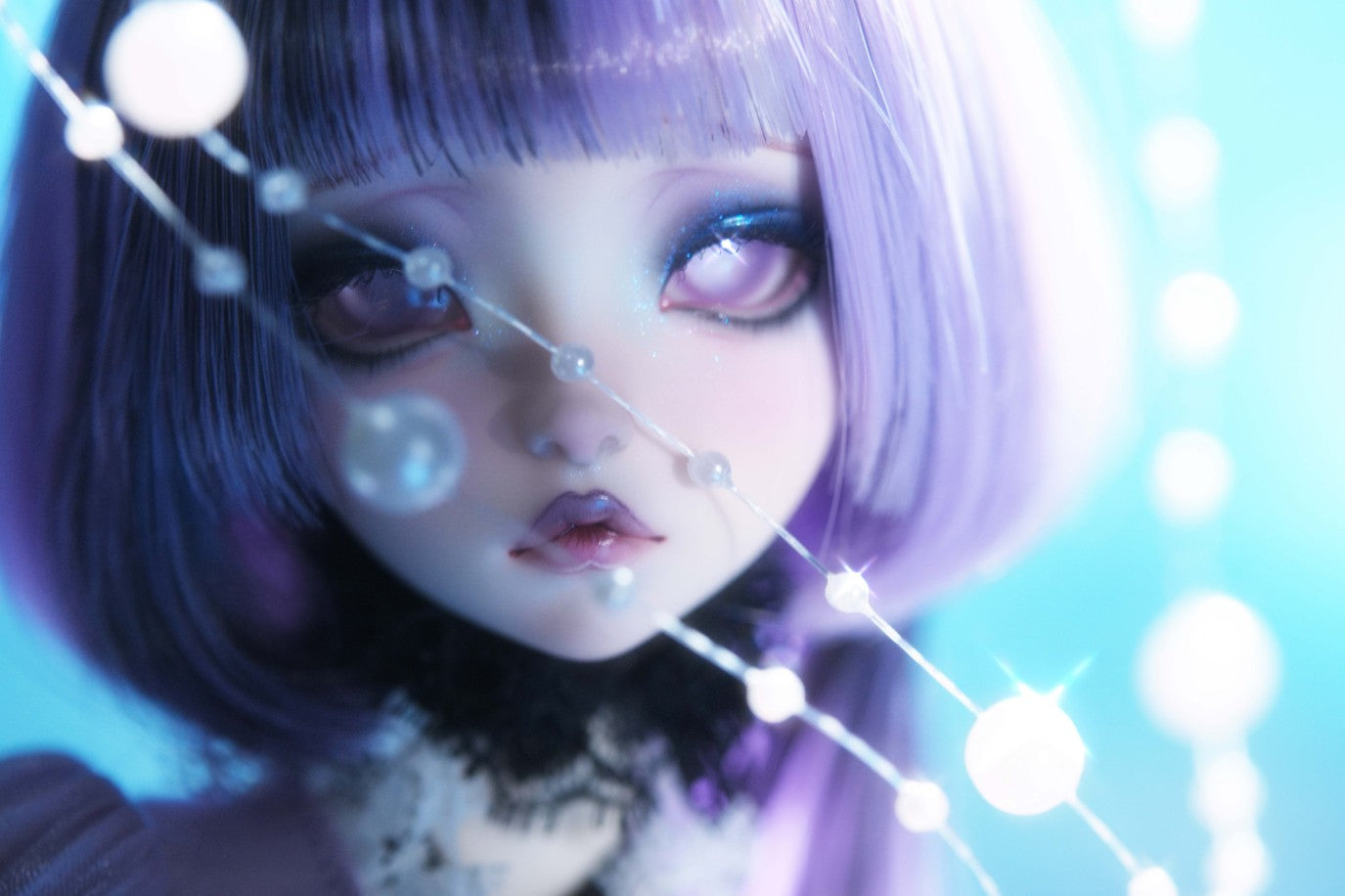 Jellyfish Daya