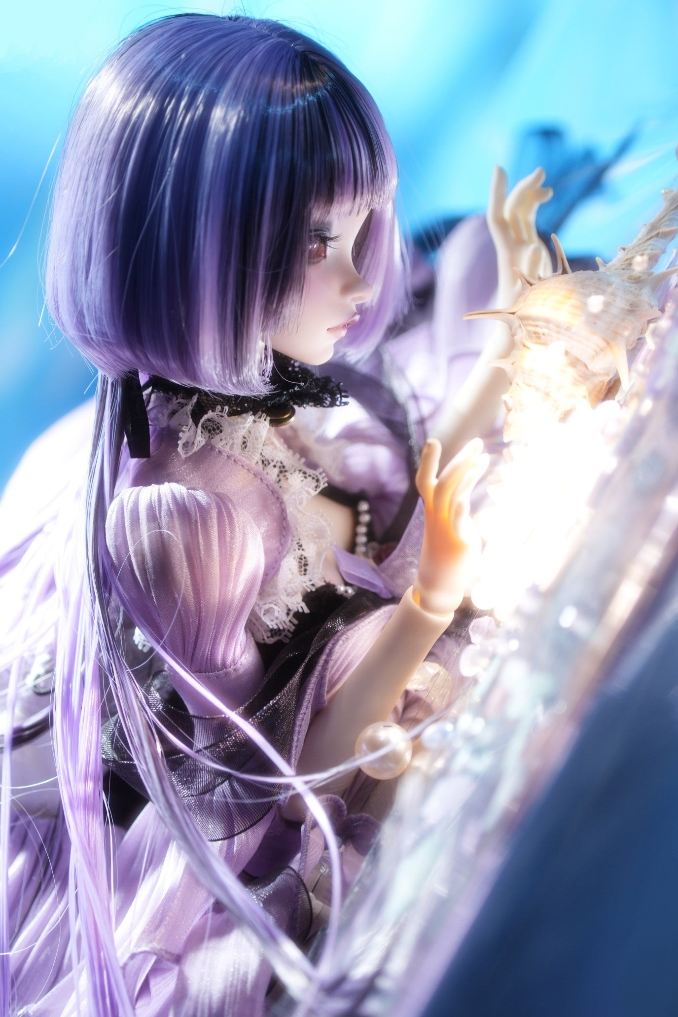 Jellyfish Daya