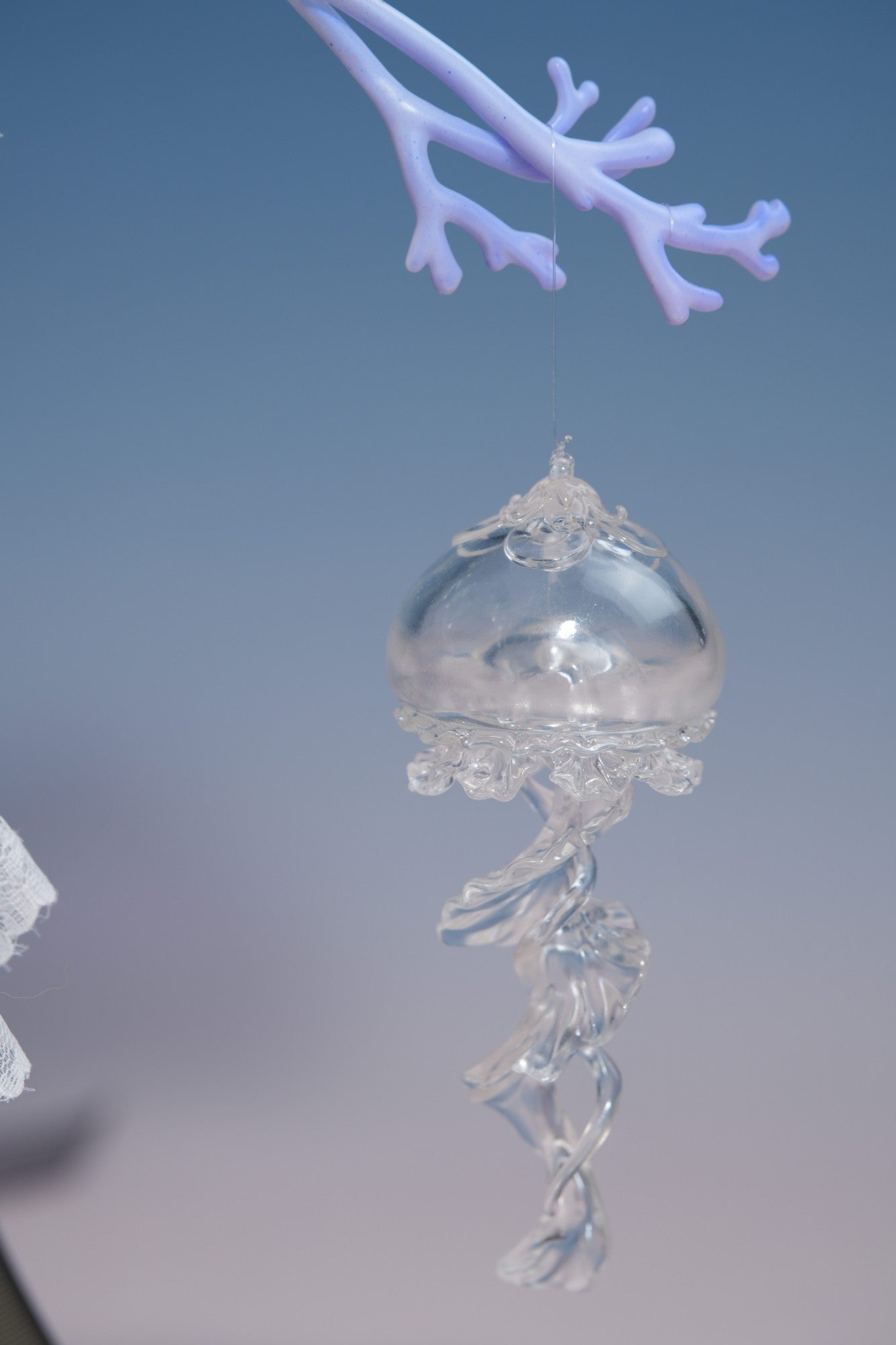 Jellyfish Daya