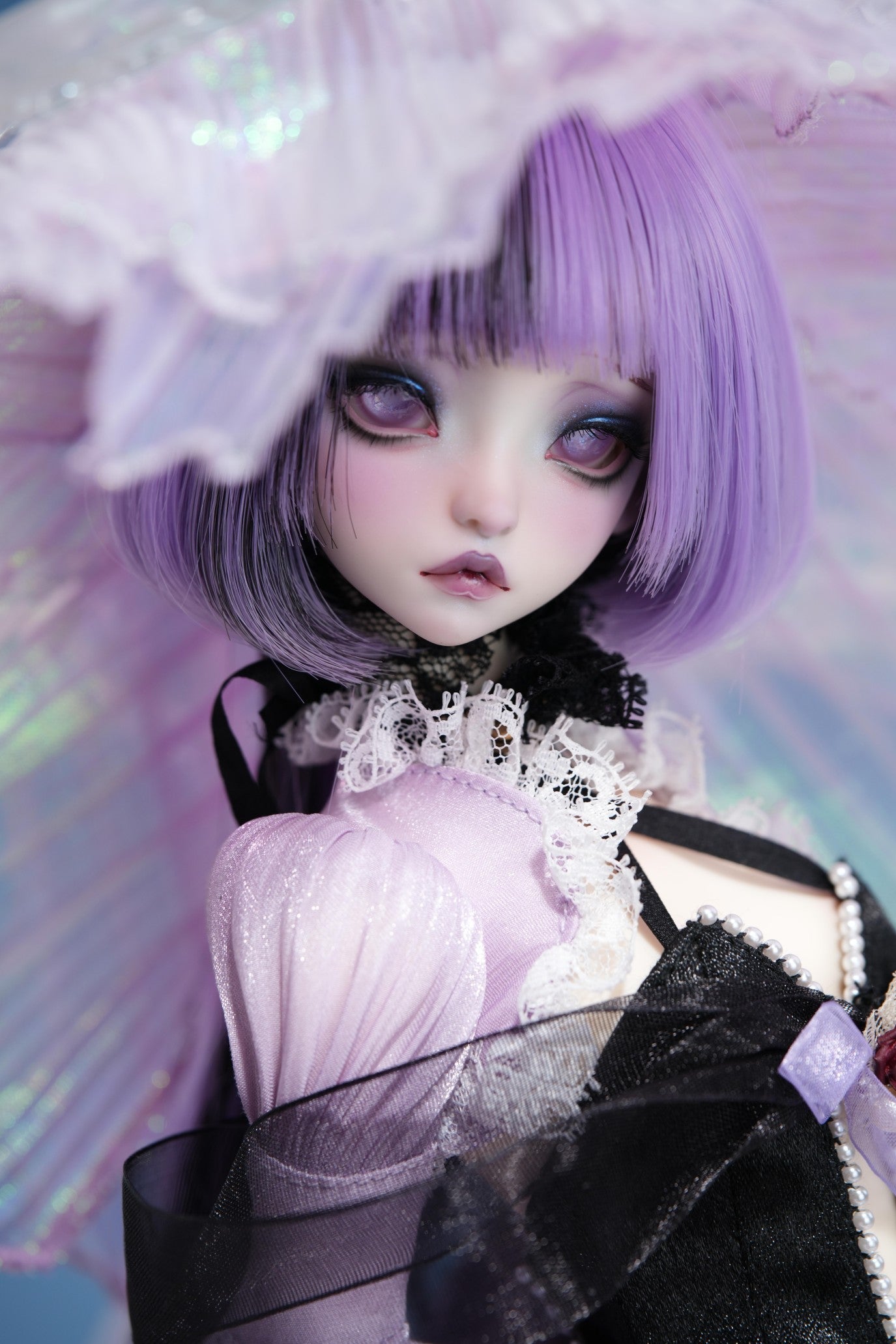 Jellyfish Daya