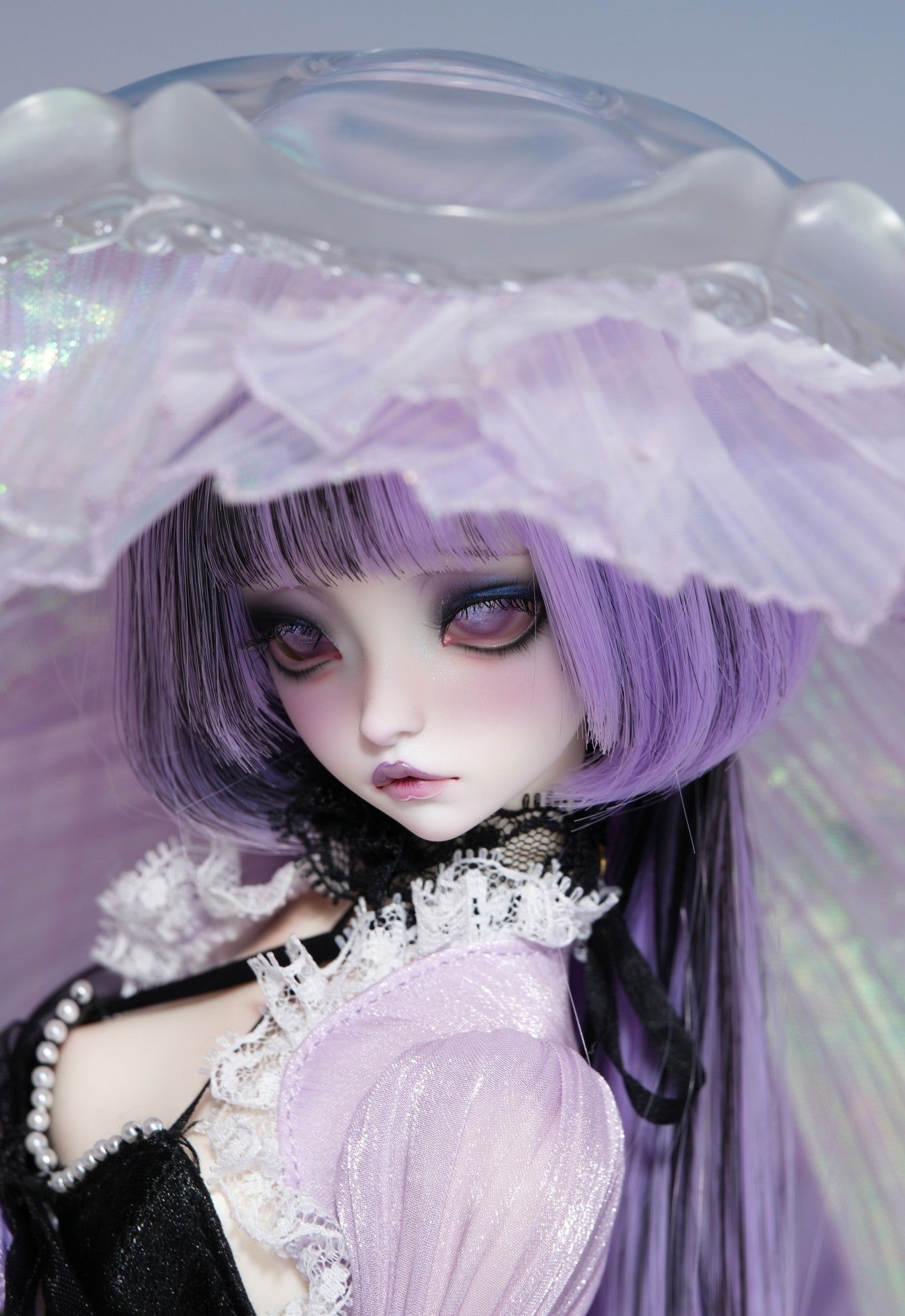 Jellyfish Daya