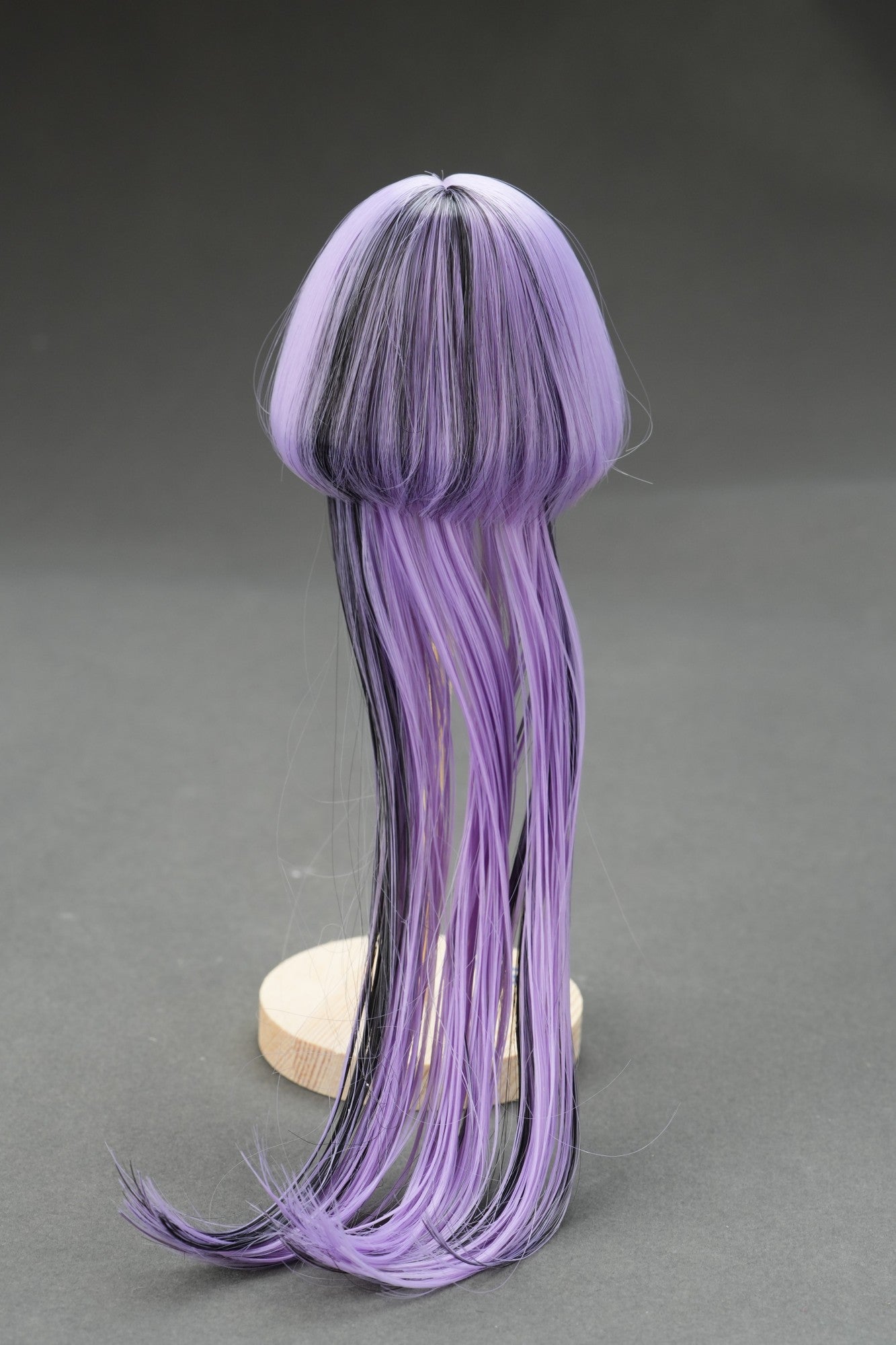 Jellyfish Daya