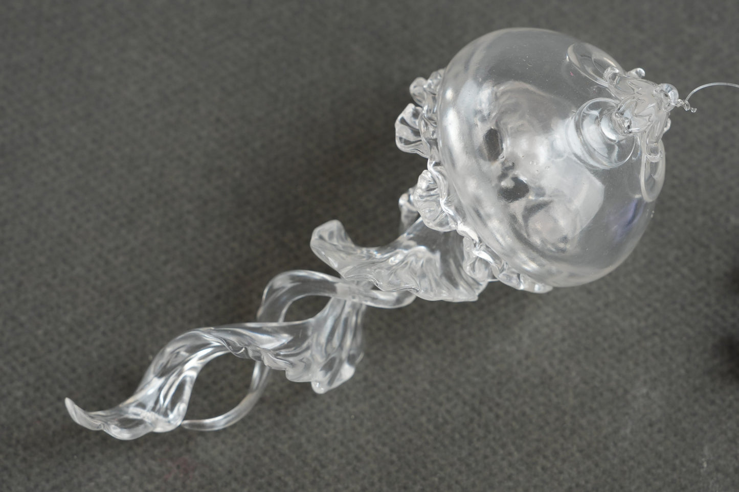 Jellyfish Daya