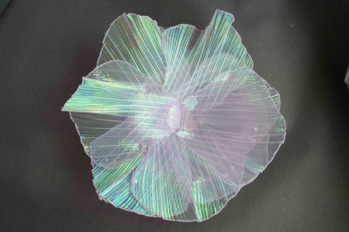 Jellyfish Daya