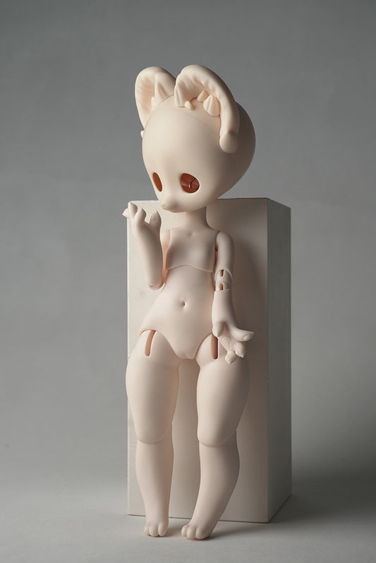 The dog Xiao Wu and the cat Xiao Mi