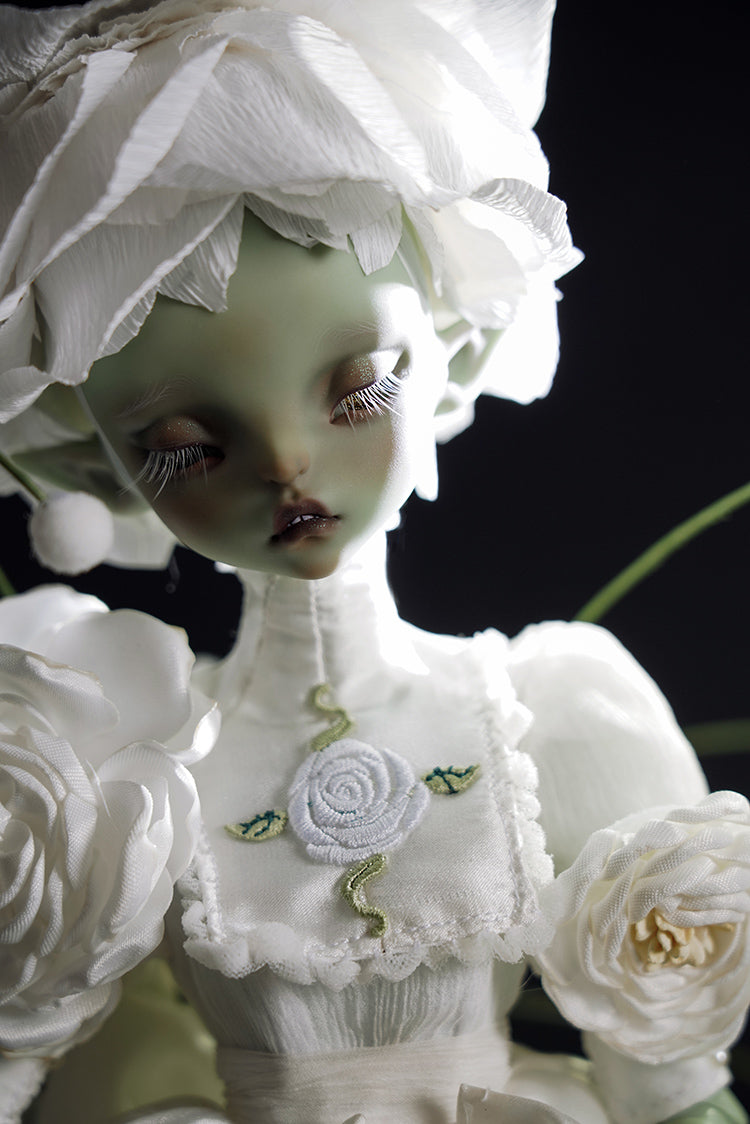 layla 【Show only】