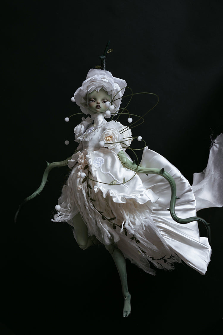 layla 【Show only】