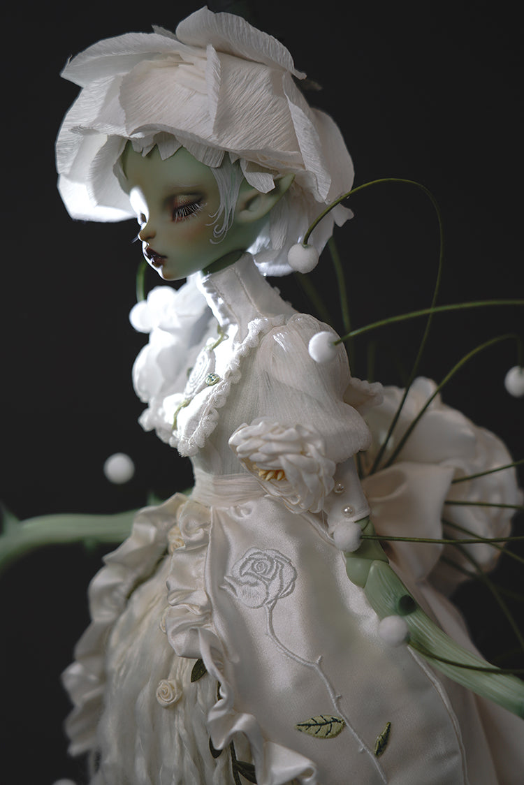 layla 【Show only】