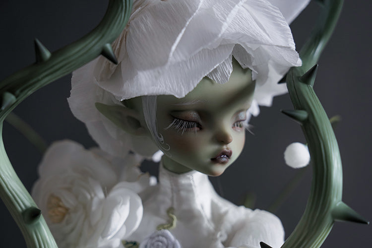 layla 【Show only】