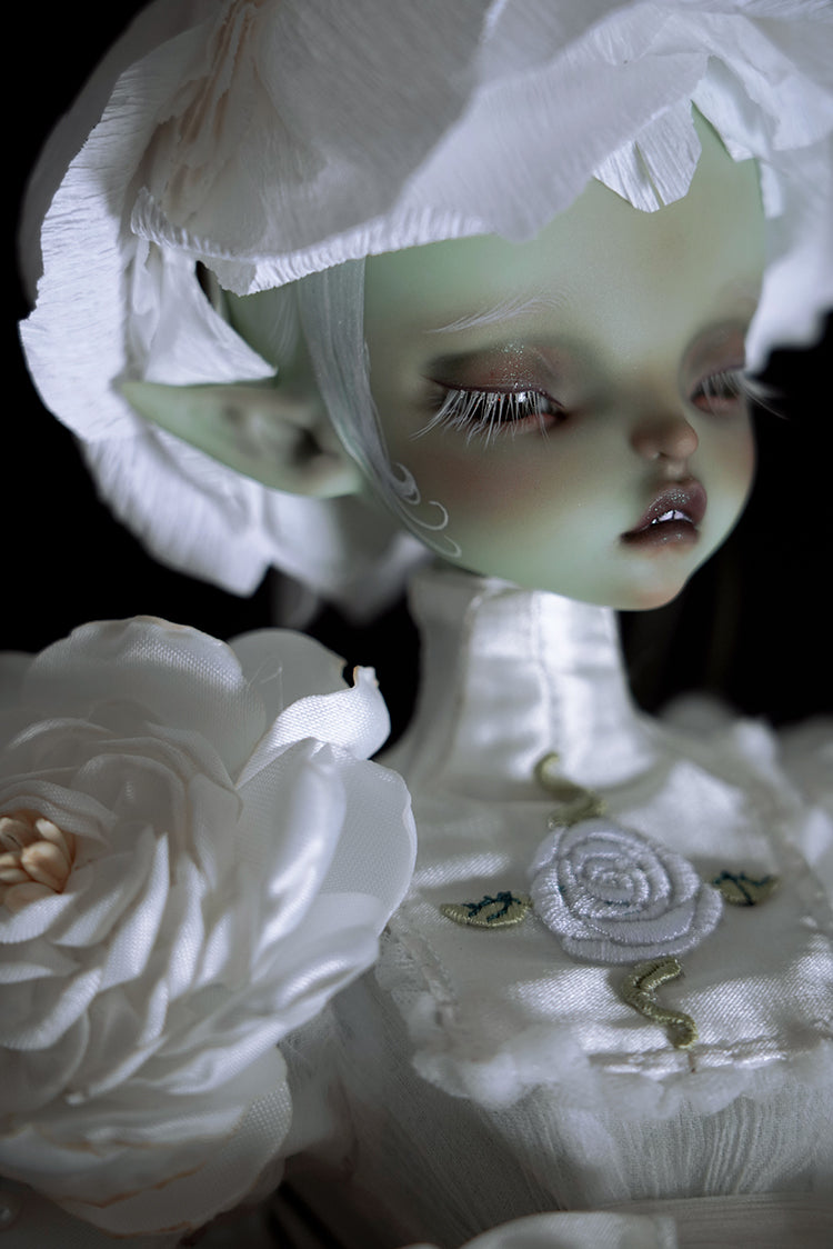 layla 【Show only】