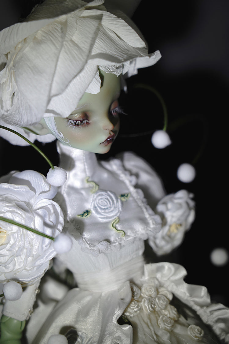 layla 【Show only】