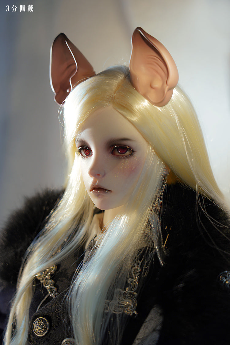 Ears