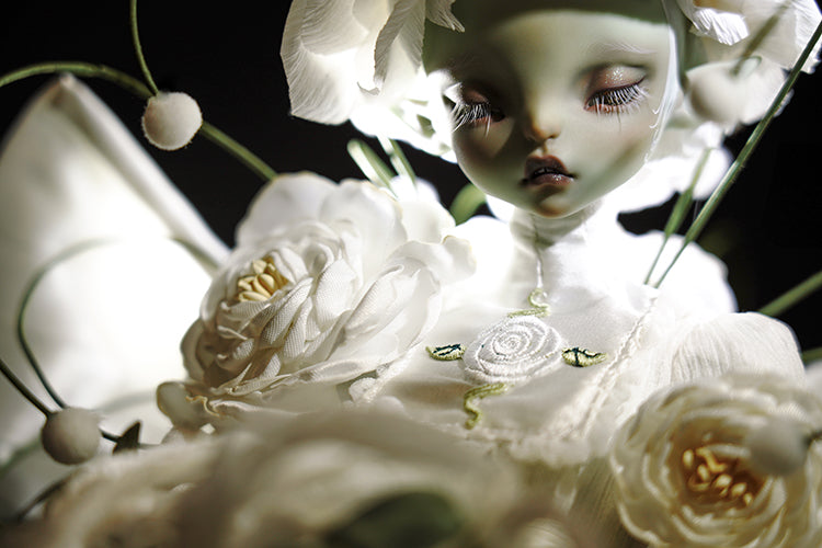layla 【Show only】