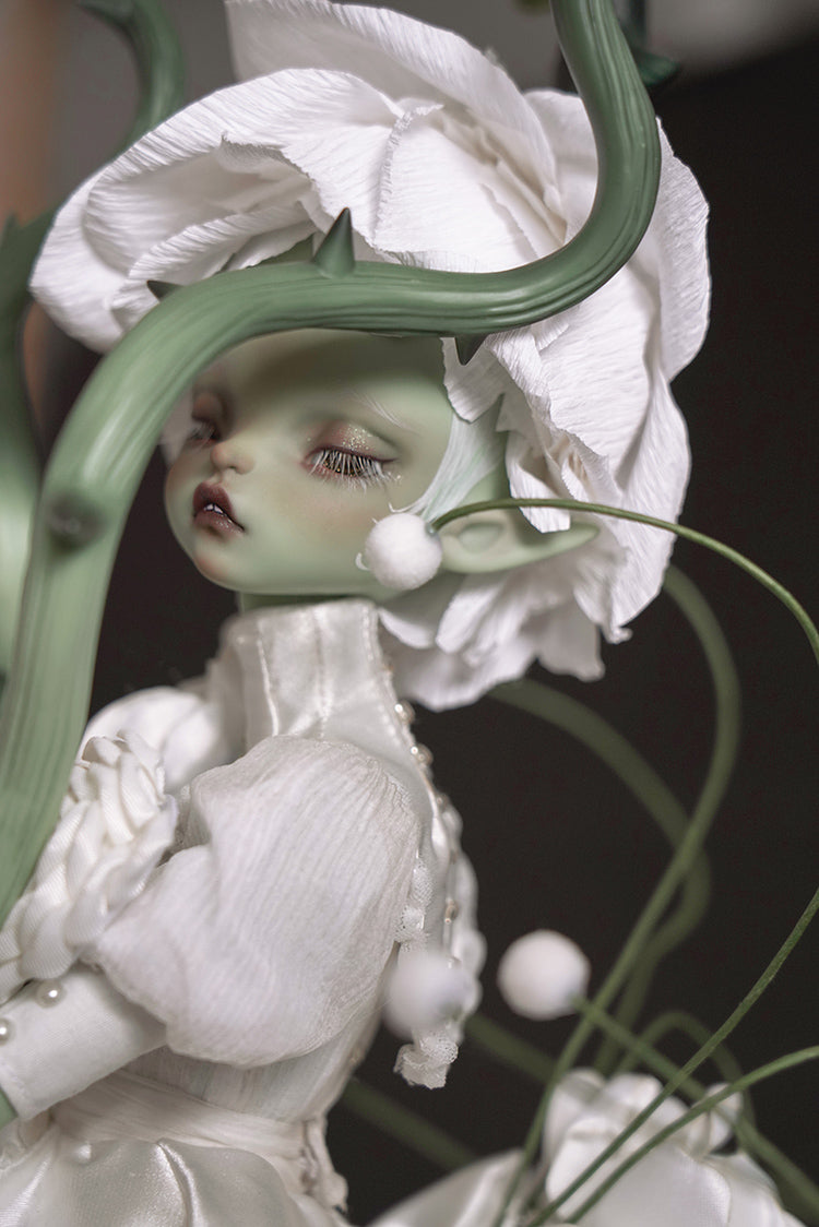 layla 【Show only】