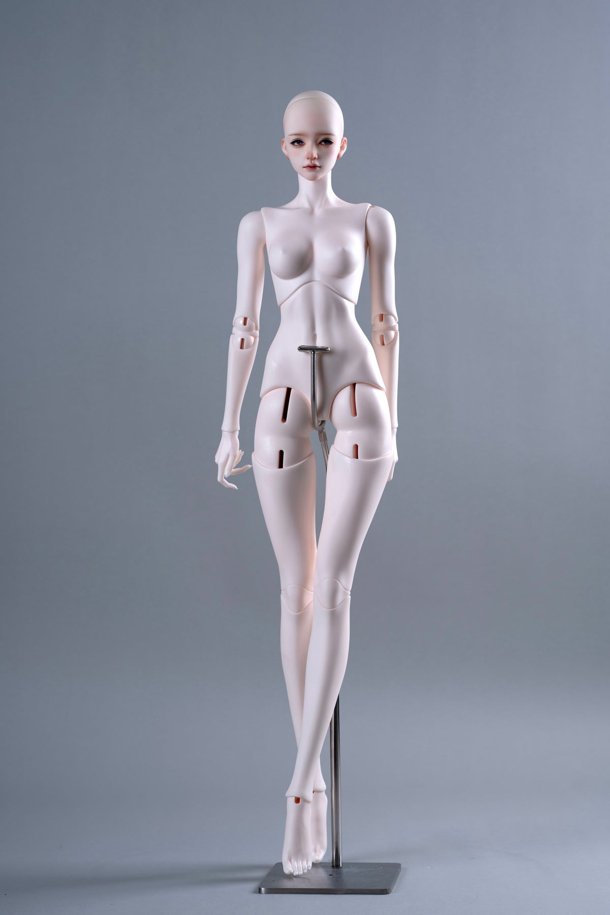 68cm  Siren Body