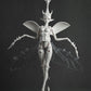 Unicorn Beetle