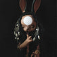 Red Rabbit