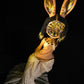 White Rabbit