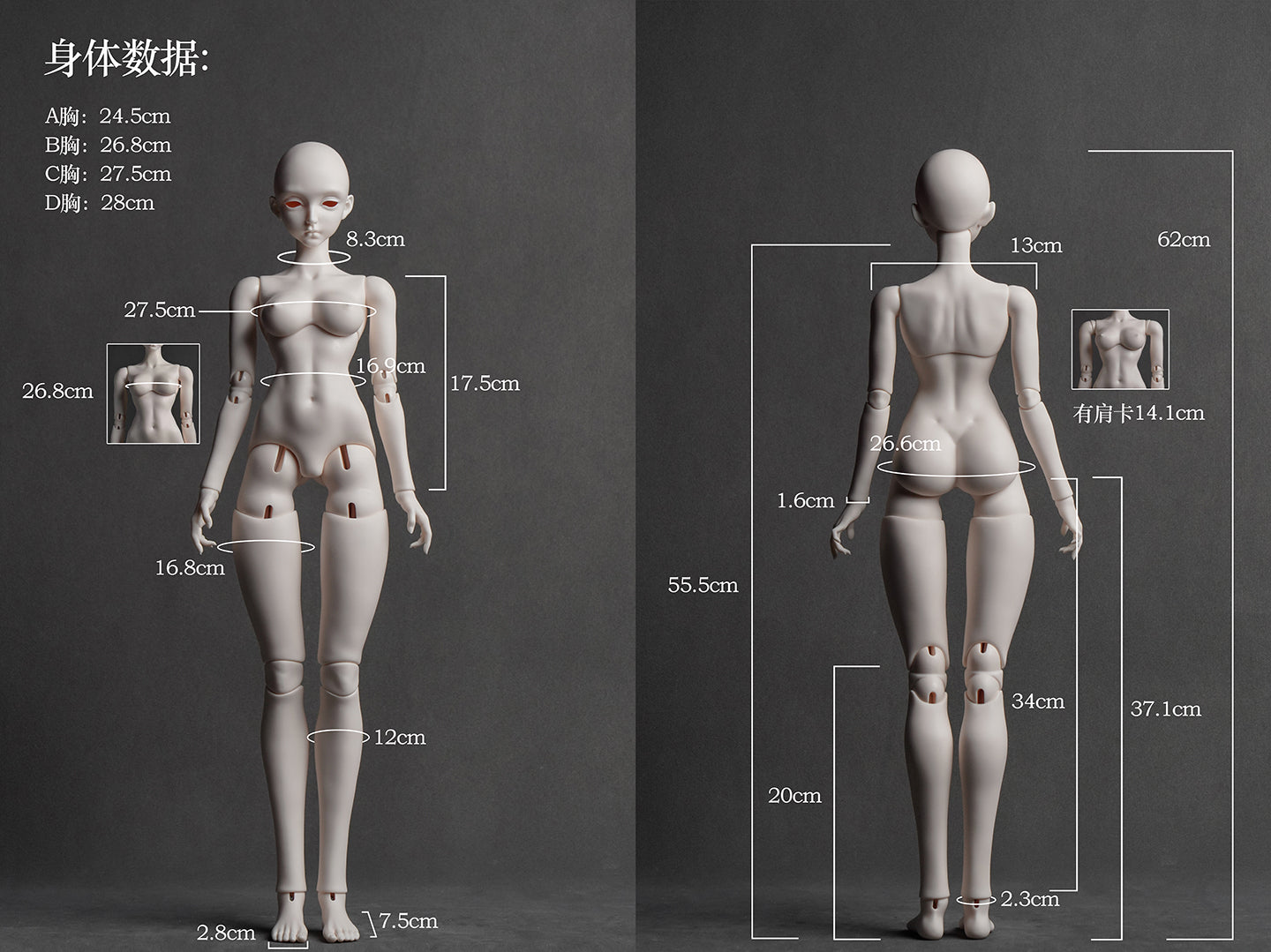 1/3（62cm）girl body basic set Rose of rock