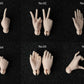 WHALE ISLAND 1/4 hands type