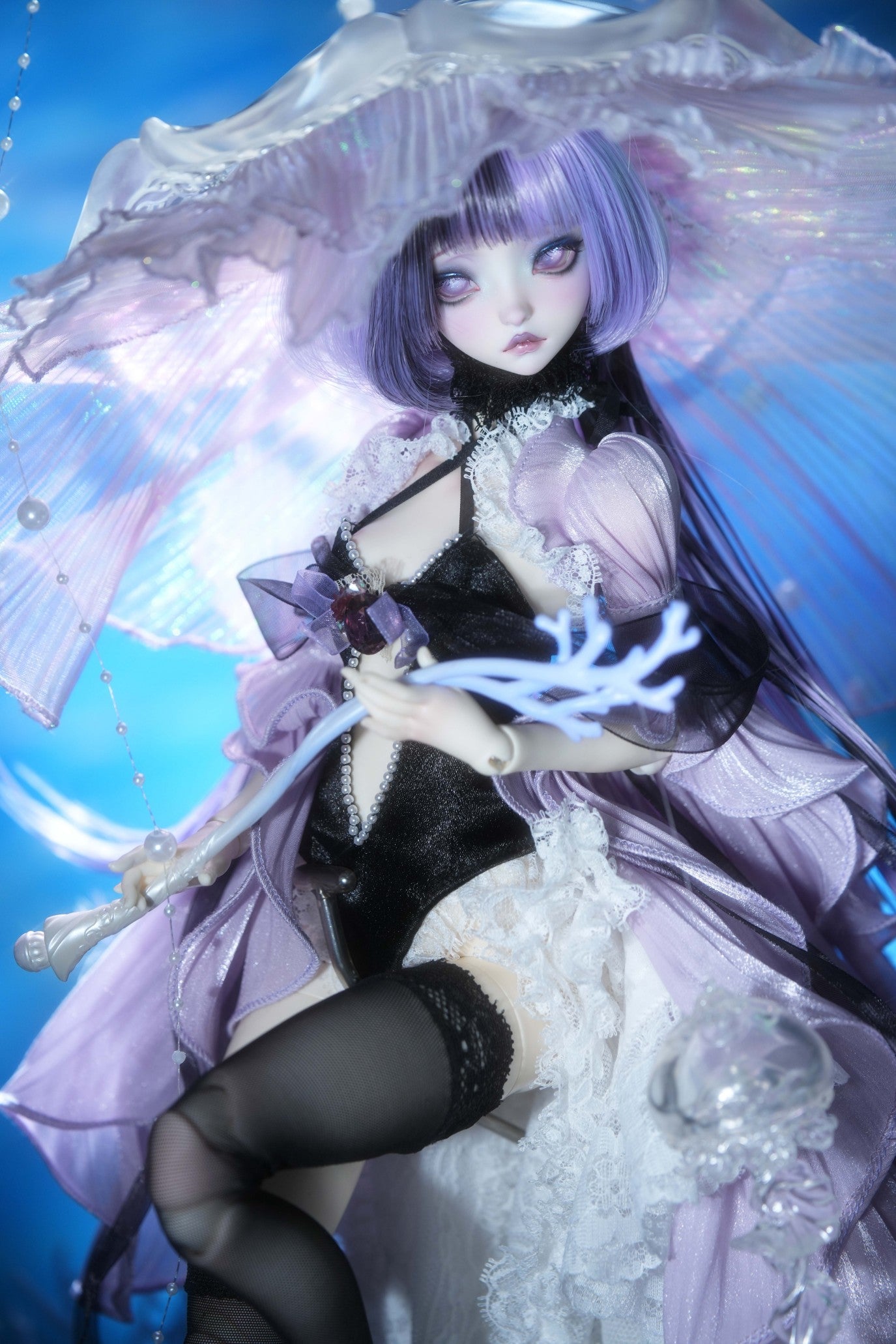 Jellyfish Daya
