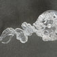 Jellyfish Daya