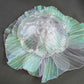 Jellyfish Daya