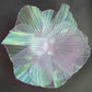 Jellyfish Daya