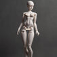1/3（62cm）girl body human body