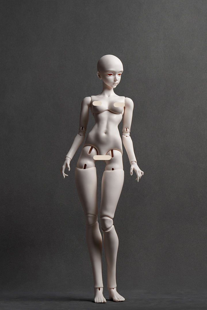 1/3（62cm）girl body human body
