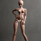 1/3（62cm）girl body human body