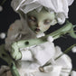 layla 【Show only】
