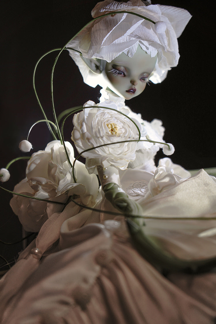 layla 【Show only】