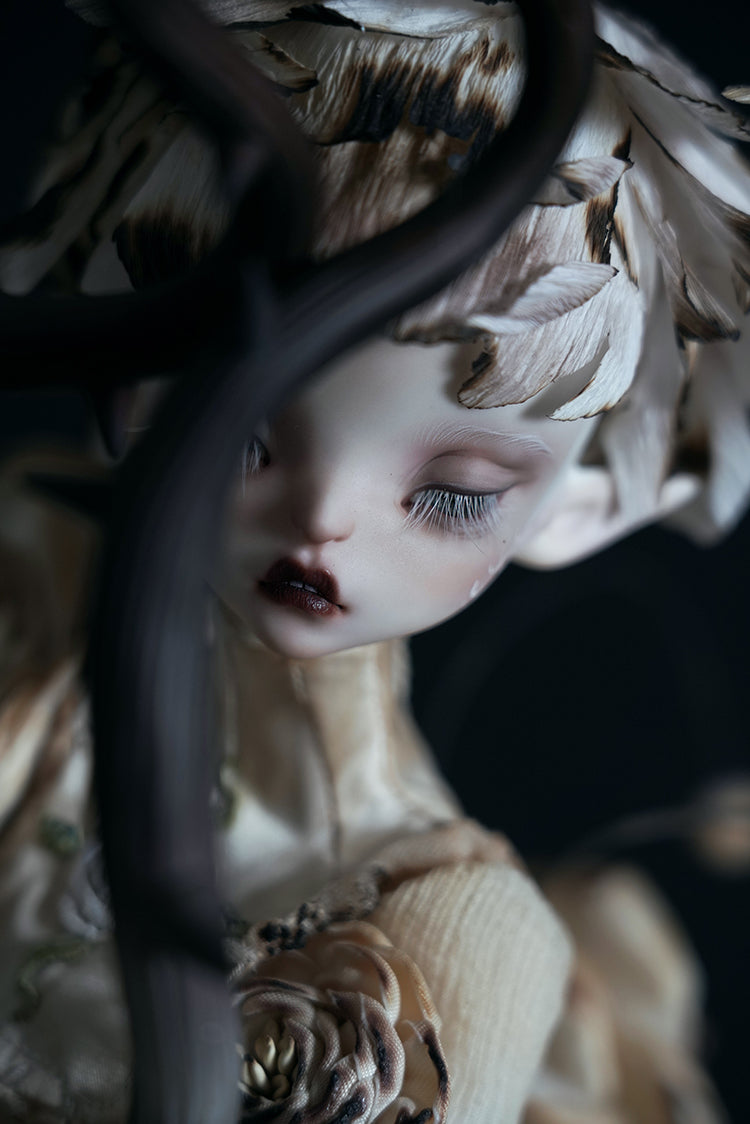 layla Dilapidated【Show only】