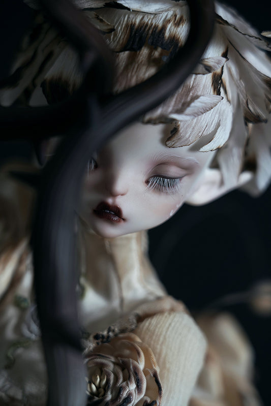 layla Dilapidated【Show only】