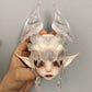 Spirit Cat