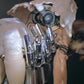 Robotic Arms Set & Aangel Wings Set